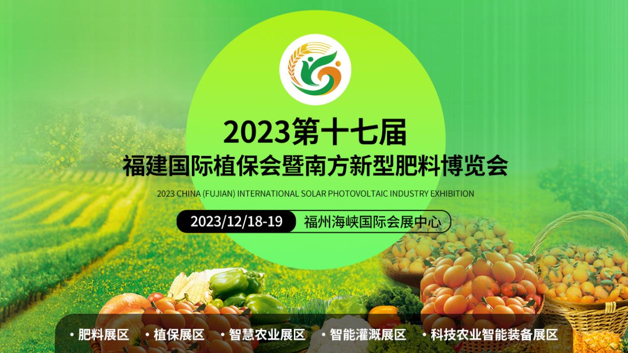 澳门2024最新饮料大全