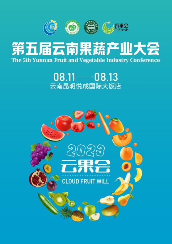 澳门2024最新饮料大全